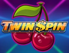 Twin Spin logo