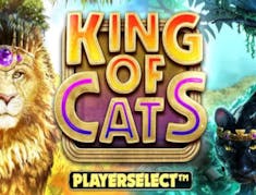 King of Cats logo